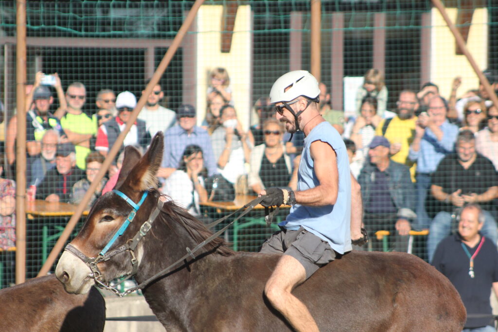 Corsa degli Asini 3