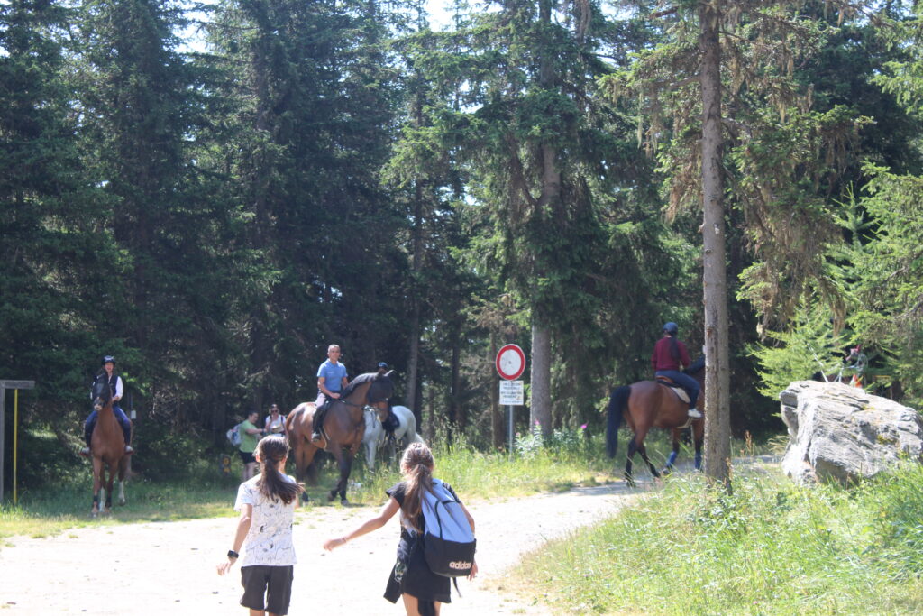 2025-07_Torgnon (6)